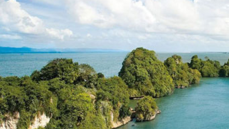 Feel the Wonderful Samana Whale Watching Excursions
