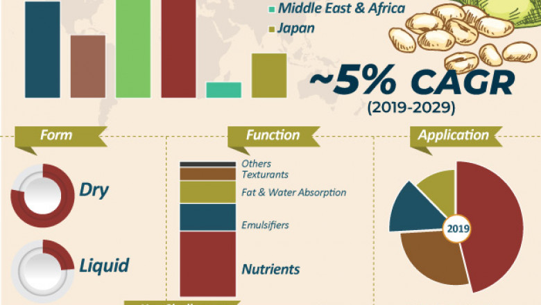 Global Market Research Report on Soy Protein Concentrate