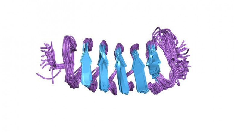 Technological Advancement in Antifreeze Proteins Market 2021 with Top Key Vendors like Nichirei Corporation, Kaneka Corporation, A/F Protein Inc