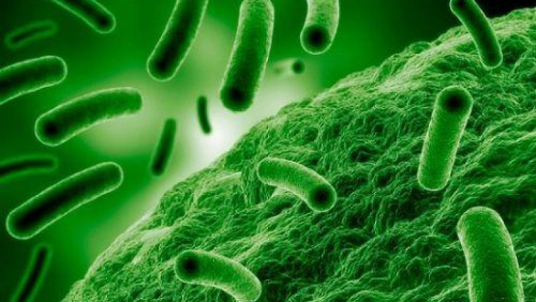 As a result, it's Often Utilised as an Antimicrobial Additives for Driveways, Sidewalks, and Other Outdoor Surfaces