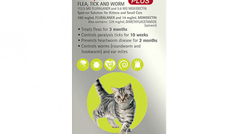 Bravecto Plus For Cats | Flea, Tick & Heartworm | DiscountPetCare