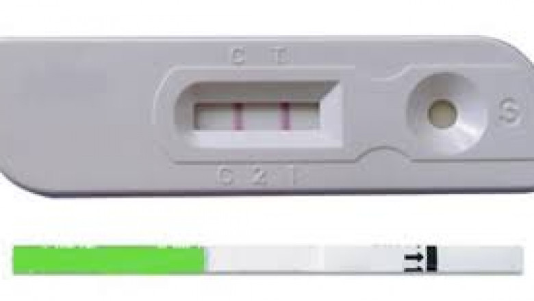 Fertility and Pregnancy Rapid Test Kits Market - Global Industry Analysis, Size, Share, Growth, Trends, and Forecast