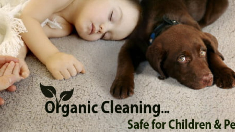 Dependable Carpet Cleaning Services - What Does It Involve