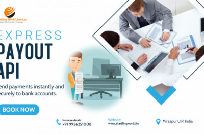 Payout API Stripe 9956251008 Bulk Payment Method