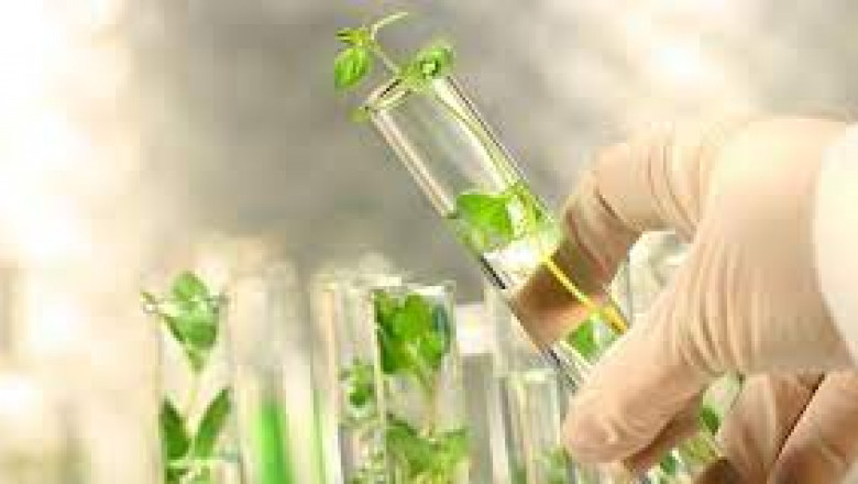 Renewable Chemicals Market – Industry Trends and Forecast