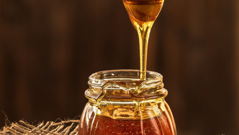 Wild Forest Vs. Local Honey: What Are the Benefits?