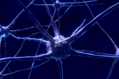 Best Neurologist in Jaipur