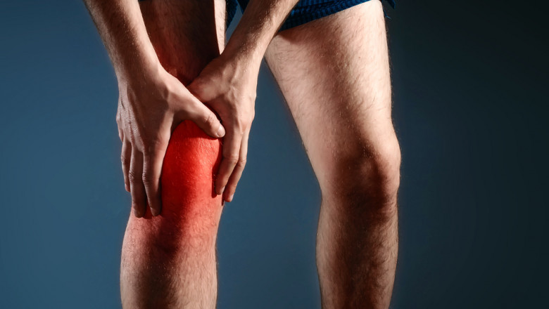 knee doctor