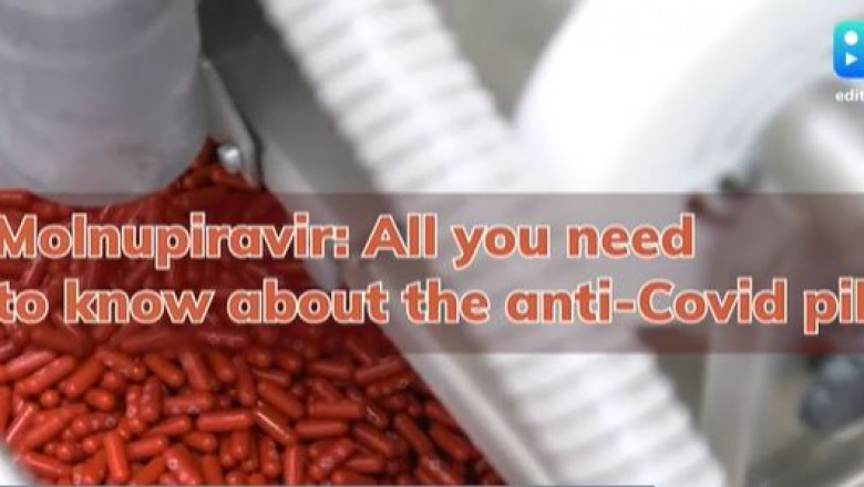 Molnupiravir: All you need to know about the oral anti-Covid pill