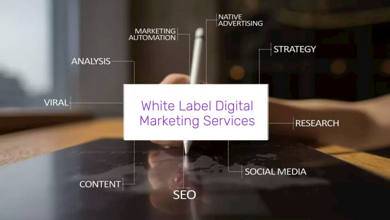 Expert White label digital marketing agency with Umbrella