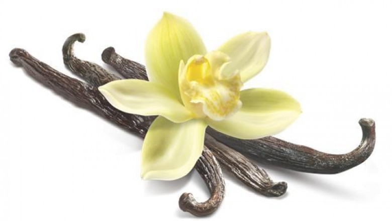 An Extract of the Vanilla Orchid Seed Pods, Bio Vanillin is a Combination of Flavor and Fragrance.