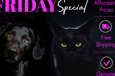 Bargainpetproducts has Black Friday sales on all of their pet products