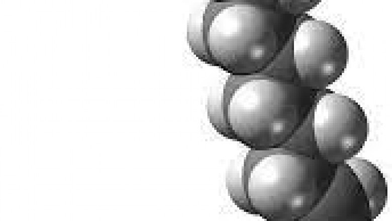 What is an Fatty Acid Ester?