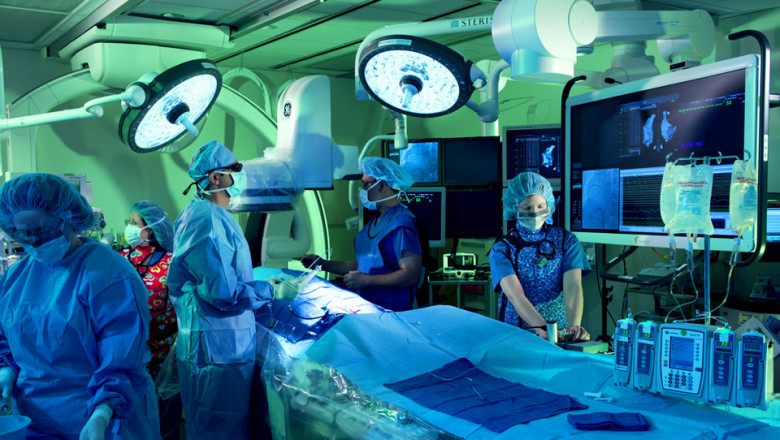 Electrophysiology Market: Top Trends Boosting the Company Demand Through 2029
