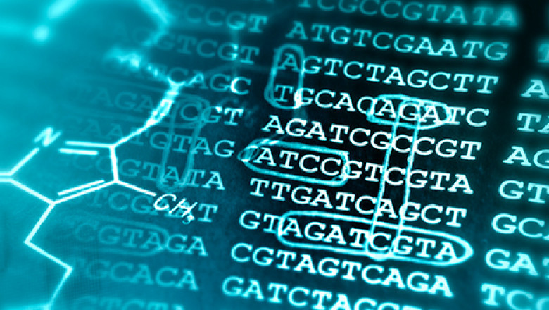 Global Bioinformatics Services Market 2020 Global Analysis, Trends, Forecast up to 2030