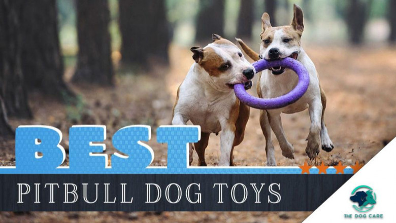 Toys for Pitbulls