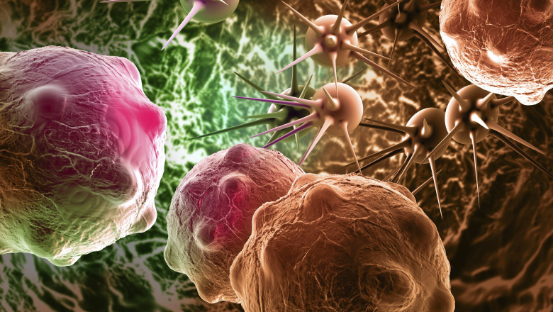 Cancer Cell Market - Size, Share, Outlook, and Opportunity Analysis, 2019 - 2027