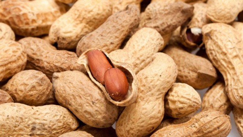 Peanuts Exporters In India