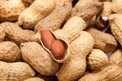 Peanuts Exporters In India