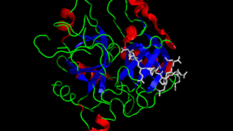 Thrombin Time Testing Market Rising Trends, Latest Technologies Research and Future Scope to 2028