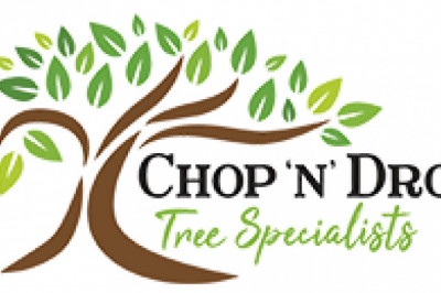 Tree Services Newcastle - Newcastle