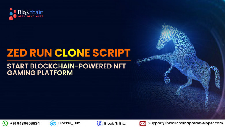 Zed Run Clone Script - To Start NFT Digital Horse Racing Game Like Zed Run