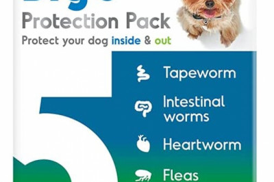 BIG 5 Protection Pack for X-Small Dogs 2.5kg - 4.0kg