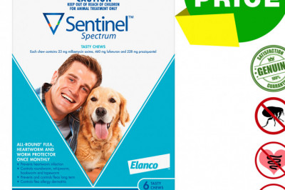 SENTINEL Spectrum Worm Flea Treatment 6 Chews for Dogs 22 to 45 Kg