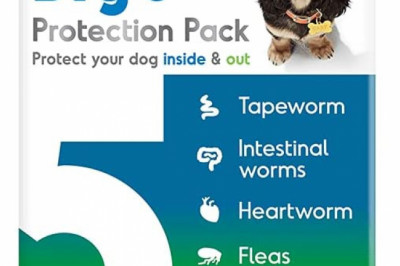 BIG 5 Protection Pack for Small Dogs 4.0kg - 5.5kg