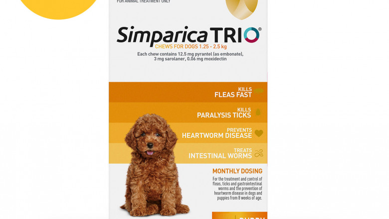 Black Friday Deals 2021 | Offers On Pet Supplies | DiscountPetCare