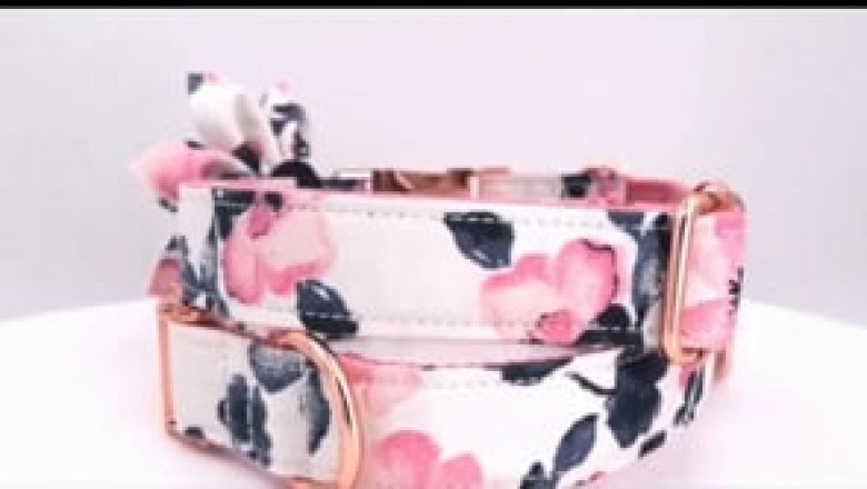 Personalized  Dog ID Flower Collar Set with Leash | Free Engraving