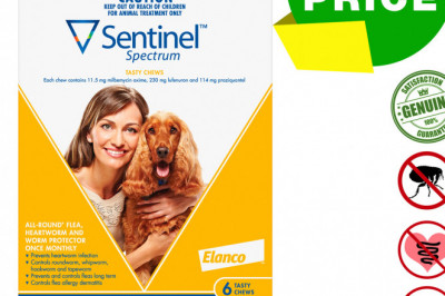 SENTINEL Spectrum Worm Flea Treatment 6 Chews for Dogs 11 to 22 Kg