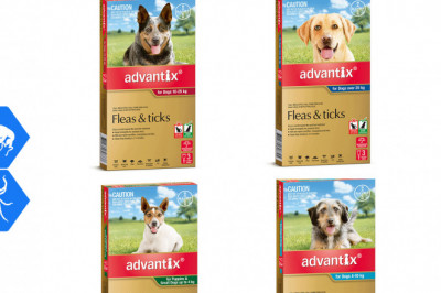 ADVANTIX for Dogs Flea and Tick Treatment 3 Pipettes