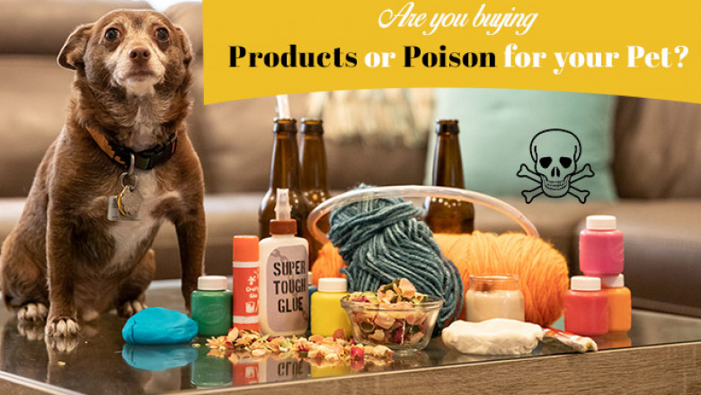 Are you buying Products or Poison for your Pet? | DiscountPetCare