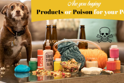 Are you buying Products or Poison for your Pet? | DiscountPetCare