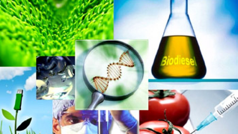 Innovative Report Food Biotechnology Market 2021 Focusing on Industry Growth and Emerging Trends with Key Vendors like ABS Global, Monsanto