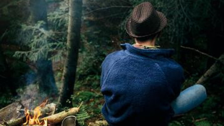 Kasauli Wilderness Camp - Camps In Kasauli