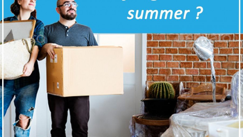 Packers and movers in Udaipur