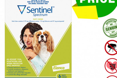SENTINEL Spectrum Worm Flea Treatment 6 Chews for Dogs 4 to 11 Kg