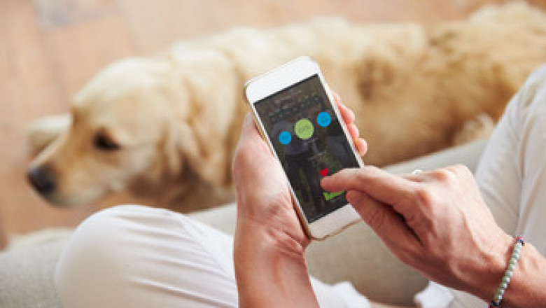 Uber for Dog Walking - A Step Towards Launching Your Dog Walking Business