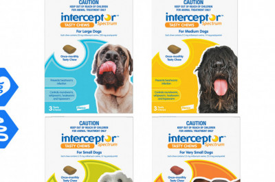 Interceptor Spectrum 3 Chews Heartworm Worm Protection for Dogs