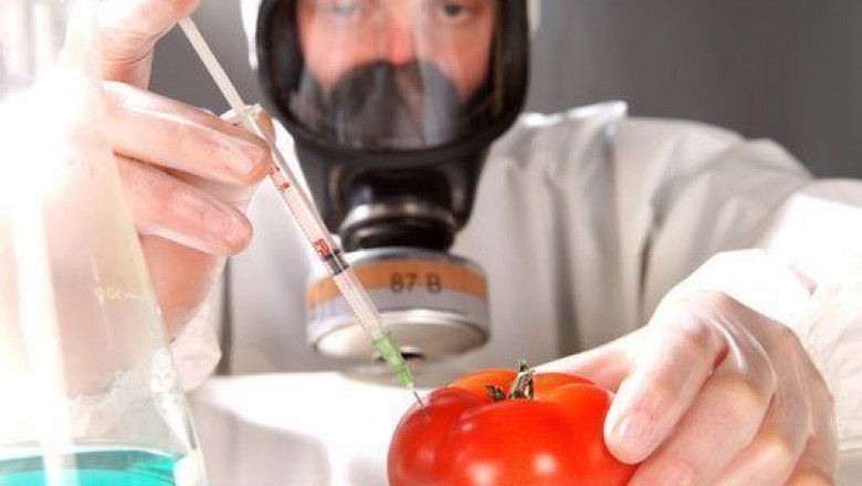 Global Food Stabilizer Market Research Report 2019-2025 |Key Players, Growth Analysis, Share, Global Trends