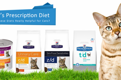 Hill’s Prescription Diet – Are These Diets Really Helpful for Cats?