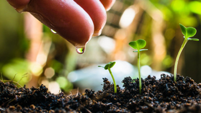 New Approach of Biostimulants Market 2021: To Business Applications with Top Key Players like BASF SE, Italpollina SAP