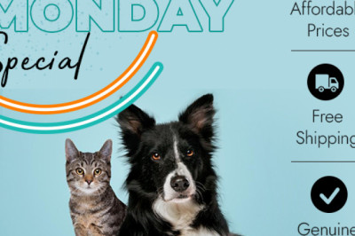 On this Cyber Monday Bargainpetproducts has great deals on all pet products.