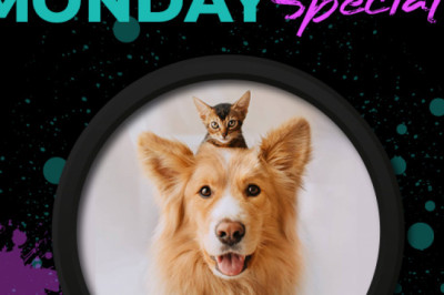 PetLoversAu offers the best Cyber Monday Deals for Pet Parents on all pet products.