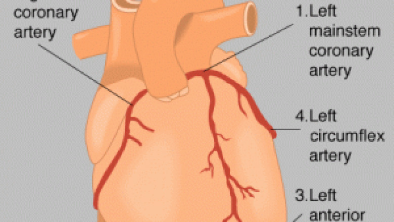 What Are Cardiac Problems? Treatments and Surgery Options