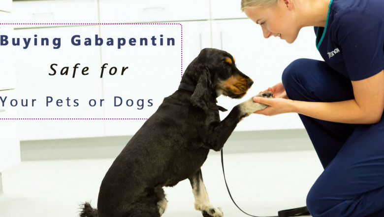 Is buying Gabapentin safe for your Pets or Dogs?