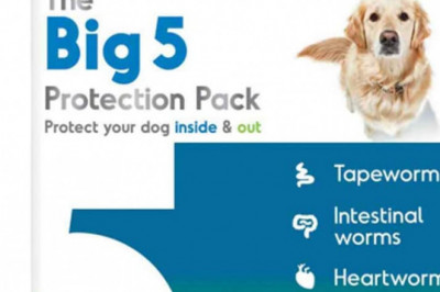 BIG 5 Protection Pack for Extra Large Dogs 22Kg - 45Kg