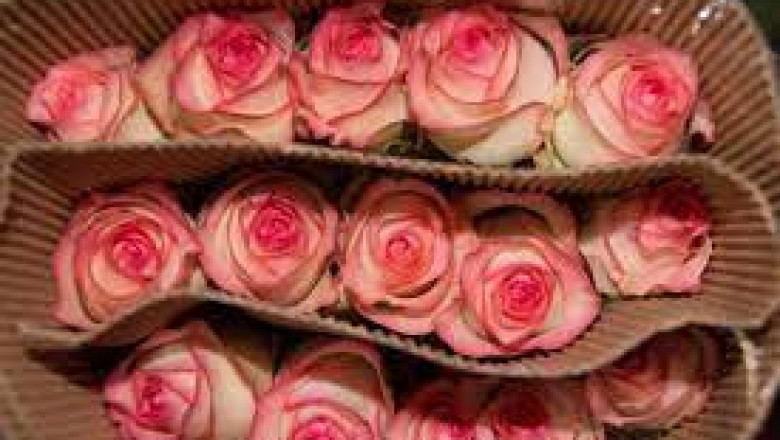 Cut Flower Packaging Market Future Prospects 2027 | CRI,Heraeus,Gladieux,Eurecat,Hensel Recycling,Umicore,AMG Vanadium